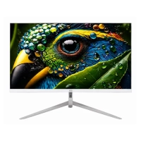 Gigasonic GS-21.5FHD500S9 21.5" 100Hz IPS Gaming Monitor White Price in Bangladesh